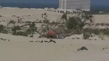נער מצלמות סקס חי חינם בלונדי משתוקק זין שחור ענק