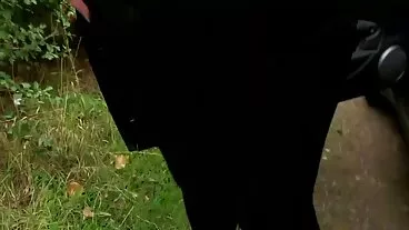 ריילין מצלמותמין המקסימה מלקקת את הטמבל הלוהט של אווה אדמס
