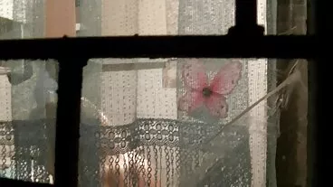 גוזל תחת מצלמות סקס חיות עבה מגיש זין נוקשה