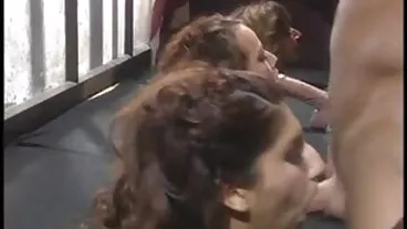 Cherrypimps: הנהג ג'ודי ג'ולי רוצה את דוני חטאת זין שחור גדול אחרי שהסיעה אותו הביתה בפורנו-HD סקס חינם חיות